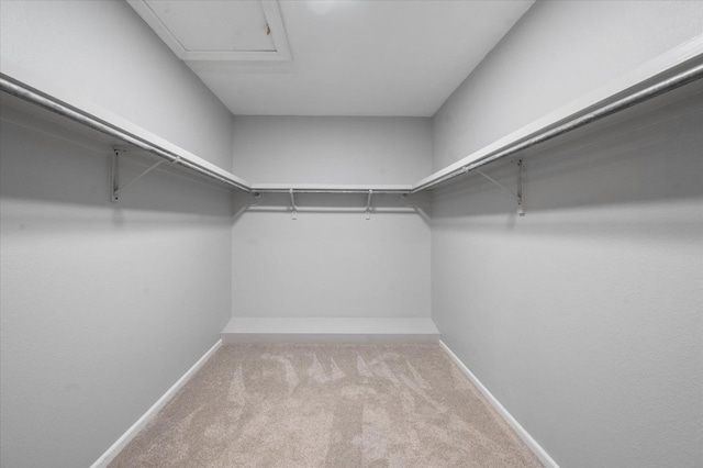 spacious closet featuring light colored carpet