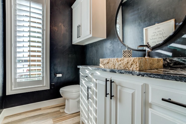 bathroom featuring vanity, toilet, and wood-type flooring