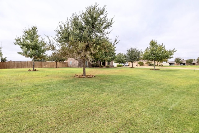 3005 County Road 7520, Lubbock, TX 79423 - photo 4