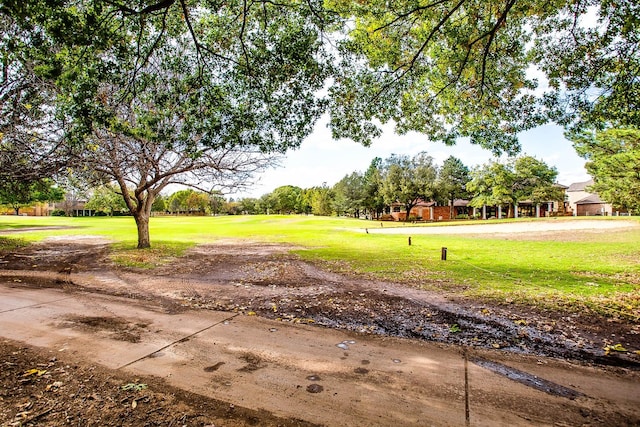 view of community with a yard