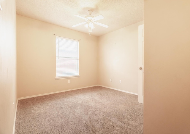 7504 Ave P, Lubbock, TX 79423 - photo 22