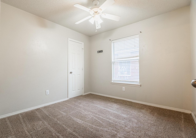 7504 Ave P, Lubbock, TX 79423 - photo 24