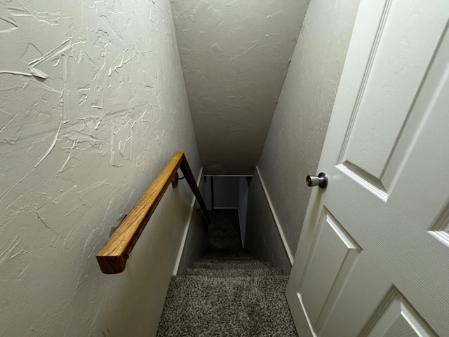 stairs with carpet floors