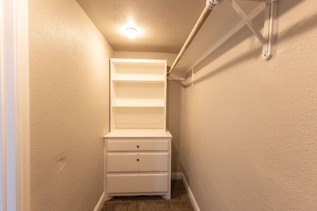 walk in closet with dark carpet