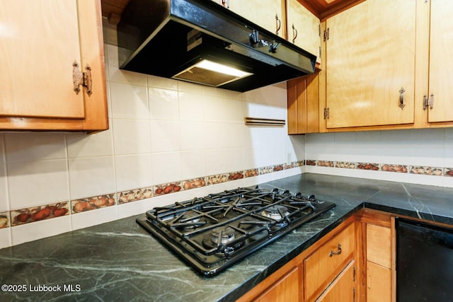 5210 15th St, Lubbock, TX 79416 - photo 19