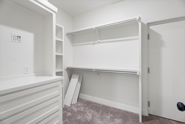 spacious closet with carpet