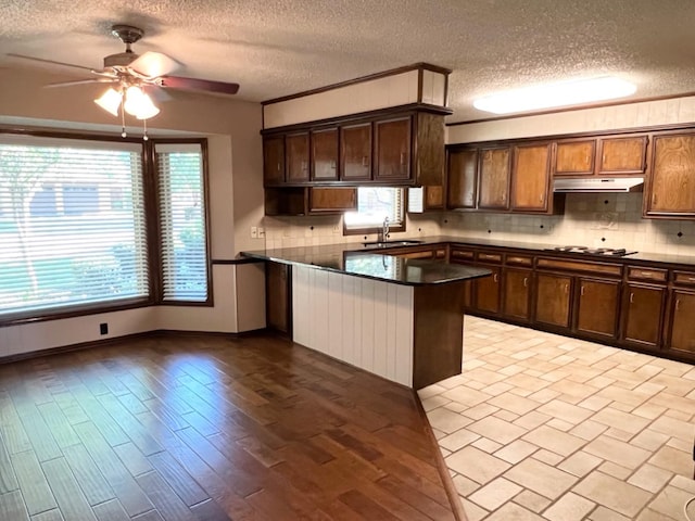 kitchen with sink, ceiling fan, tasteful backsplash, light hardwood / wood-style floors, and kitchen peninsula