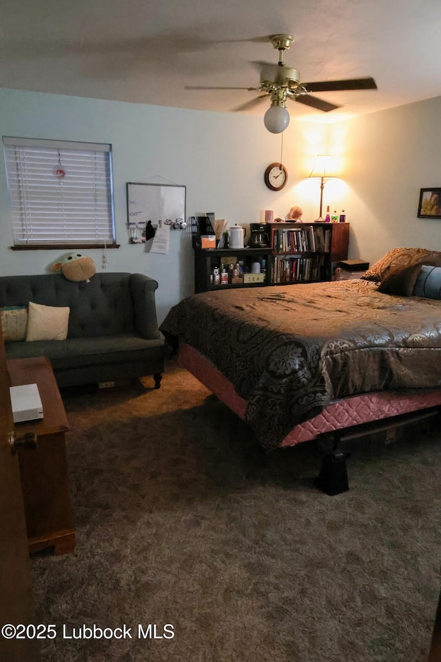 2512 Holliday Dr, Plainview, TX 79072 - view of carpeted bedroom