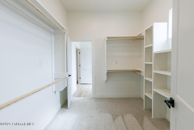 7450 55th St, Lubbock, TX 79407 - spacious closet with carpet