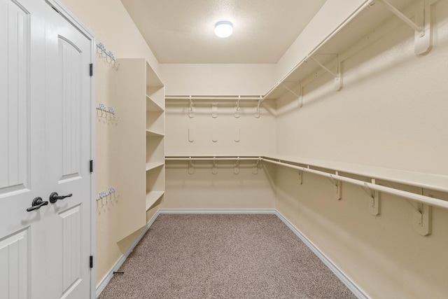 walk in closet with carpet