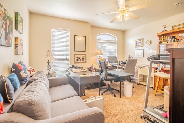 carpeted office featuring ceiling fan