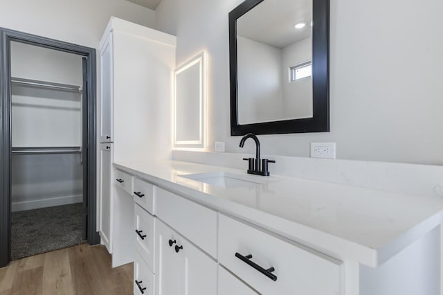 bathroom with wood-type flooring and vanity