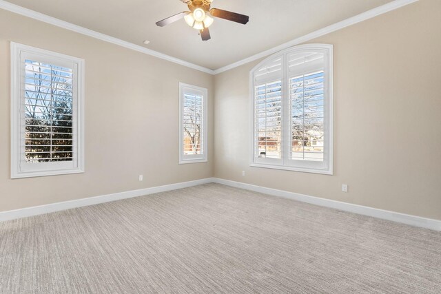 4509 103rd St, Lubbock, TX 79424 - photo 38