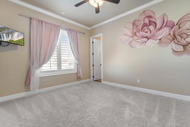 4509 103rd St, Lubbock, TX 79424 - photo 46
