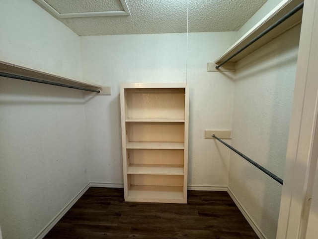 walk in closet featuring dark hardwood / wood-style flooring