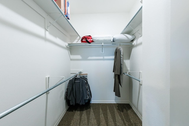 spacious closet with dark colored carpet