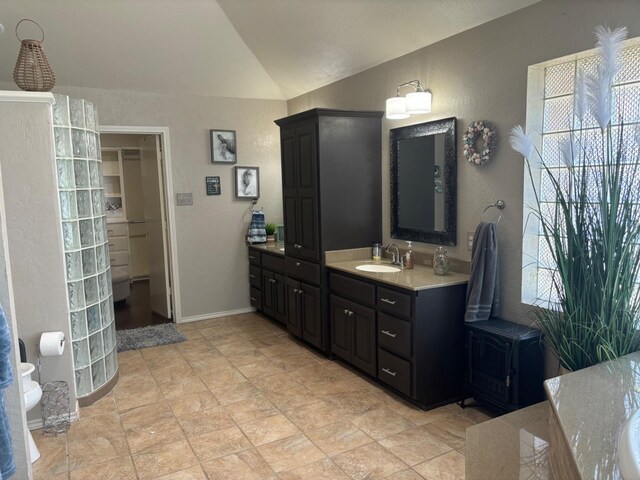 bathroom with vaulted ceiling, plenty of natural light, a wood stove, and vanity