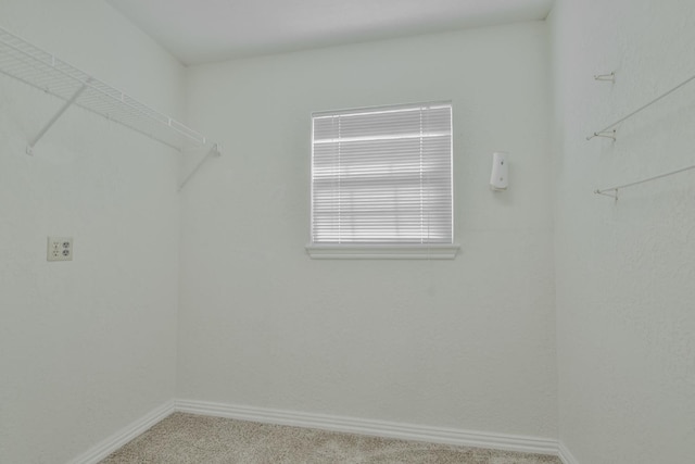 spacious closet with carpet floors