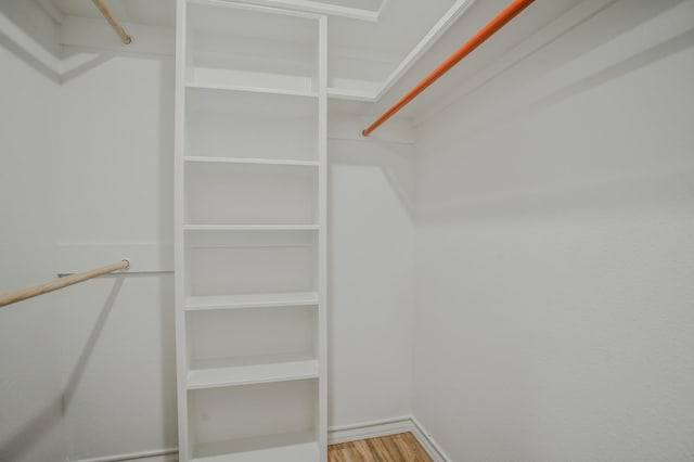 spacious closet featuring wood-type flooring