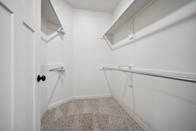 spacious closet with carpet floors