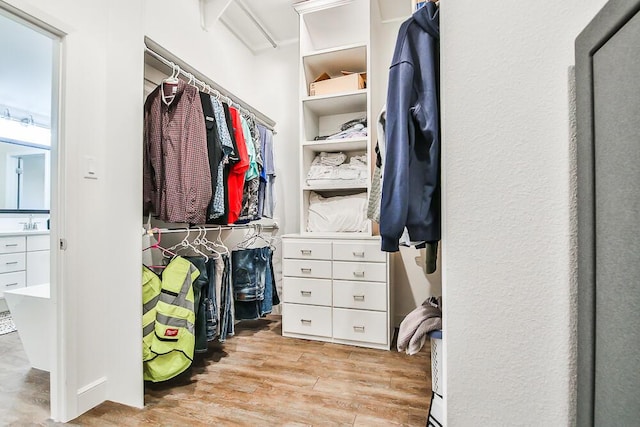 spacious closet with light wood-type flooring and a sink