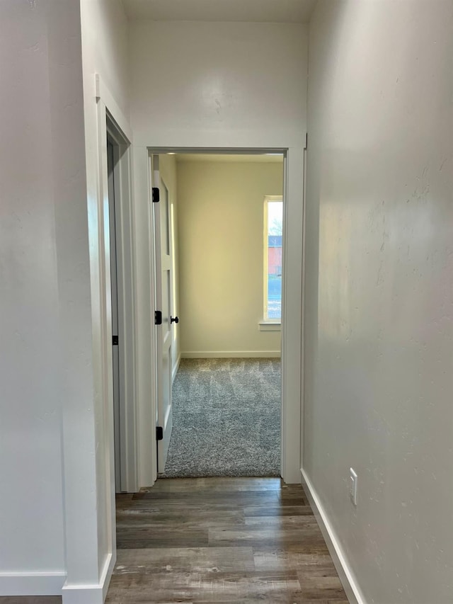 hallway featuring hardwood / wood-style floors