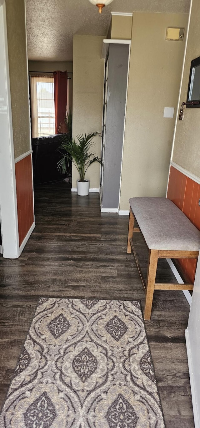 interior space with wood walls, wood finished floors, a wainscoted wall, and a textured ceiling