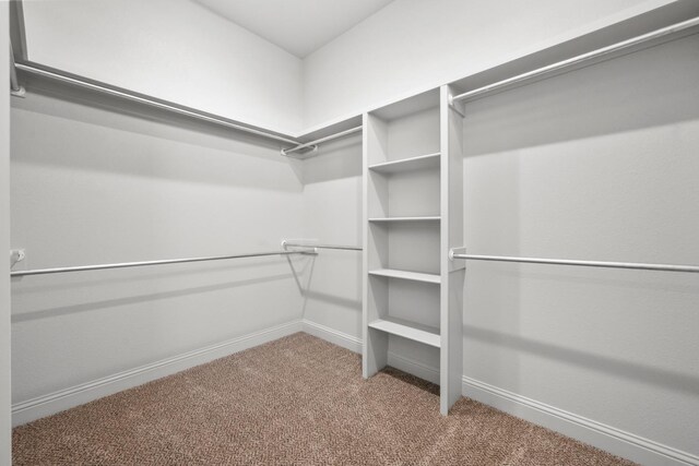 walk in closet with carpet flooring