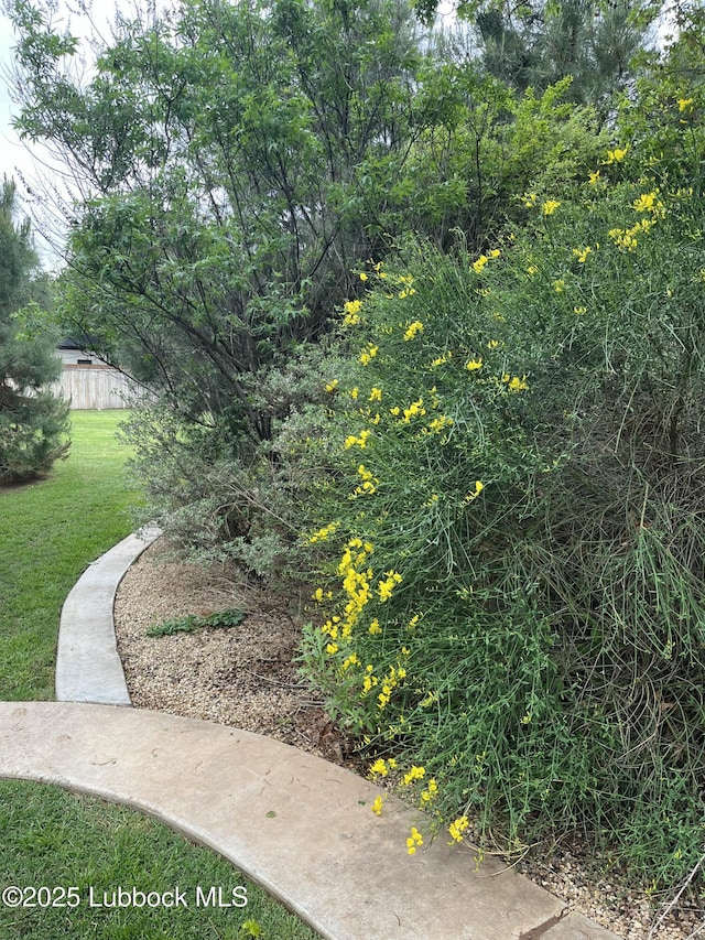 3709 156th St, Lubbock, TX 79423 - view of grassy yard