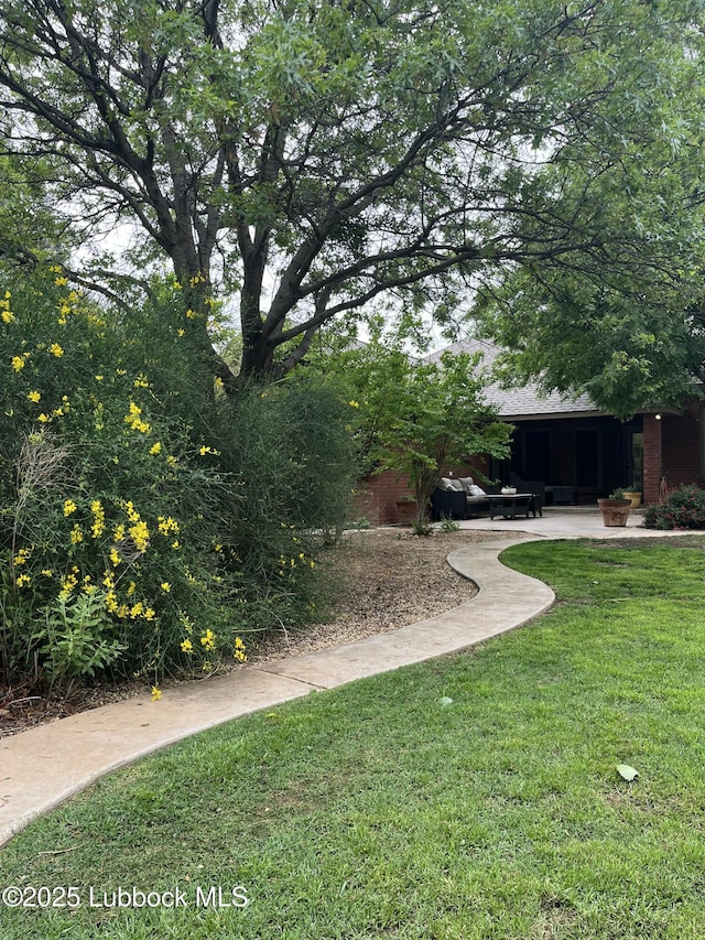 3709 156th St, Lubbock, TX 79423 - view of green lawn