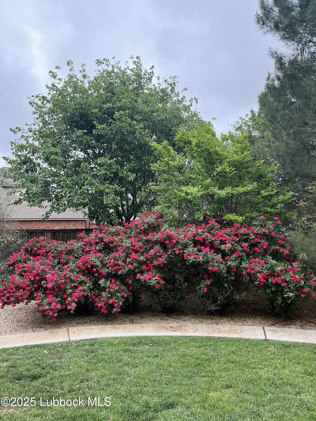 3709 156th St, Lubbock, TX 79423 - view of grassy yard
