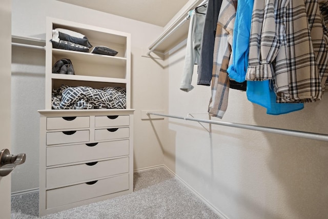 spacious closet featuring carpet floors