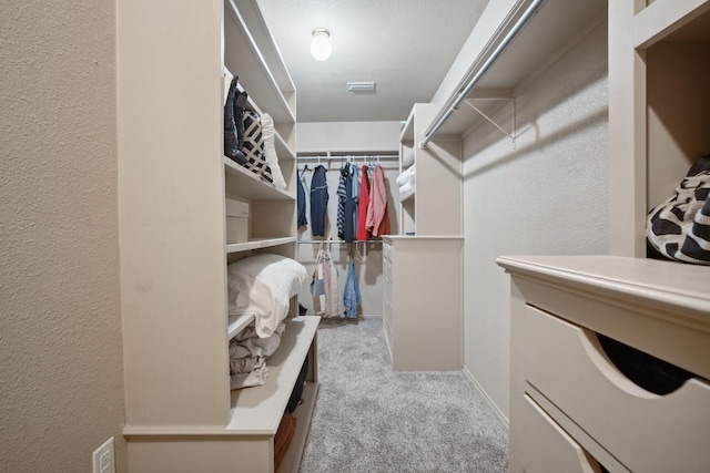 spacious closet with light carpet