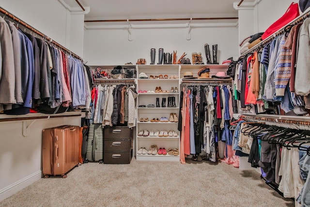 spacious closet featuring carpet flooring