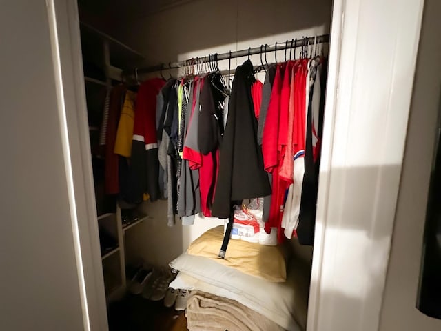 view of closet