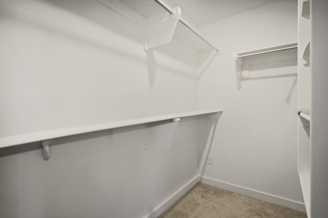 spacious closet featuring light colored carpet