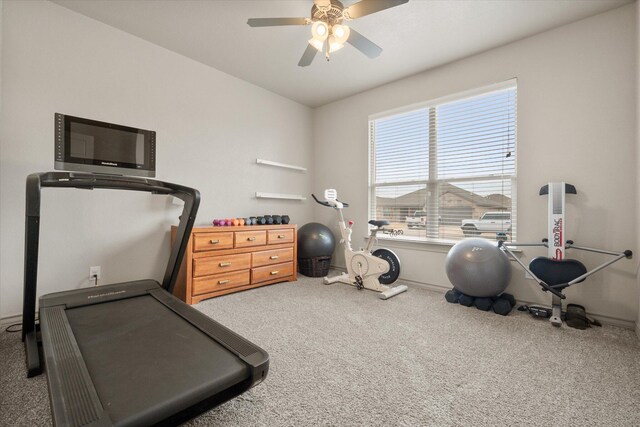 exercise room featuring carpet floors