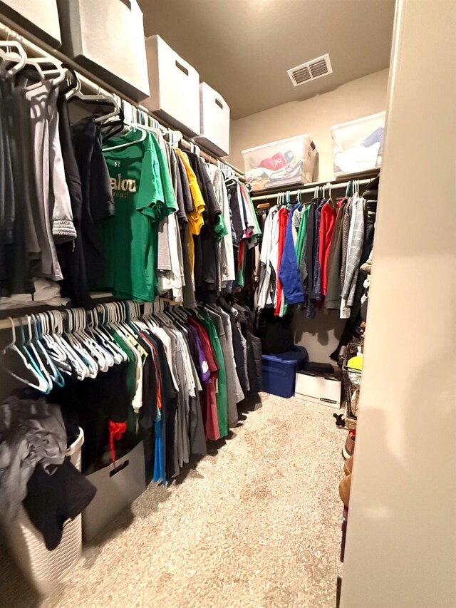 view of spacious closet