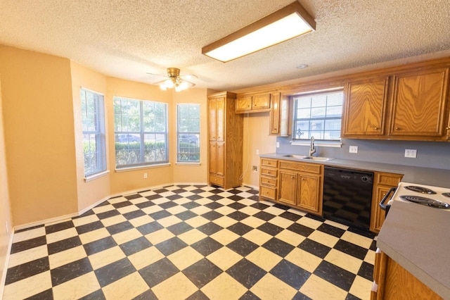 kitchen with plenty of natural light, black dishwasher, sink, and a textured ceiling