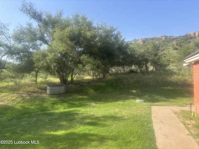 1 Squaw Ln, Ransom Canyon, TX 79366 - view of grassy yard