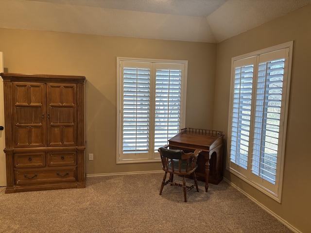 1 Squaw Ln, Ransom Canyon, TX 79366 - home office featuring carpet floors and lofted ceiling