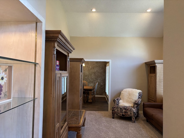 1 Squaw Ln, Ransom Canyon, TX 79366 - living area with vaulted ceiling