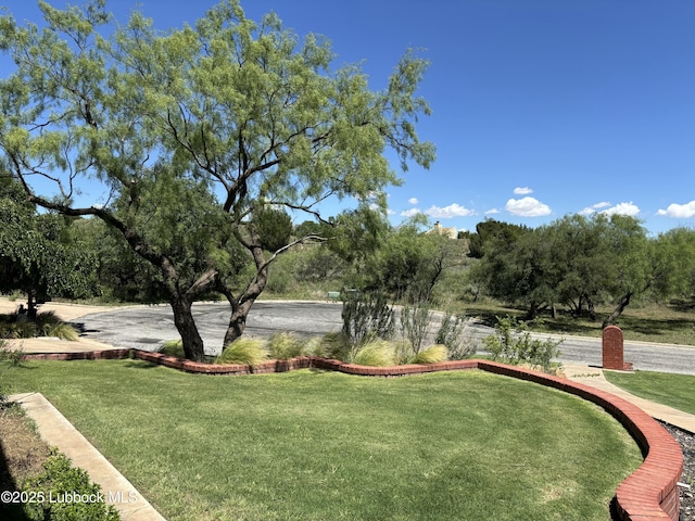 1 Squaw Ln, Ransom Canyon, TX 79366 - surrounding community with a lawn