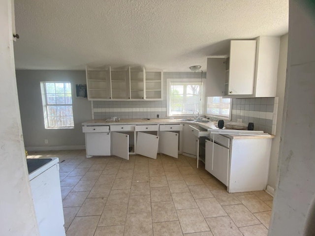 kitchen with white cabinetry, sink, and backsplash