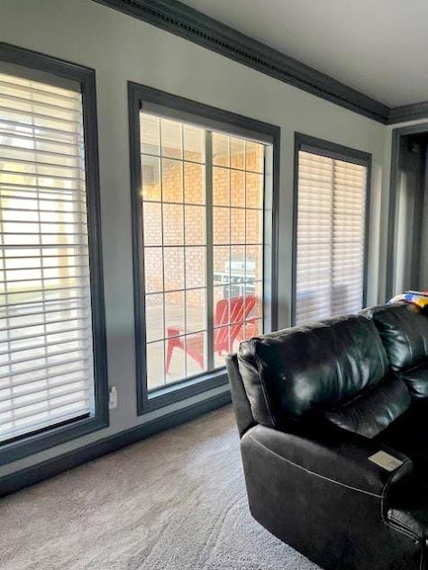 living room with a healthy amount of sunlight, carpet floors, and ornamental molding