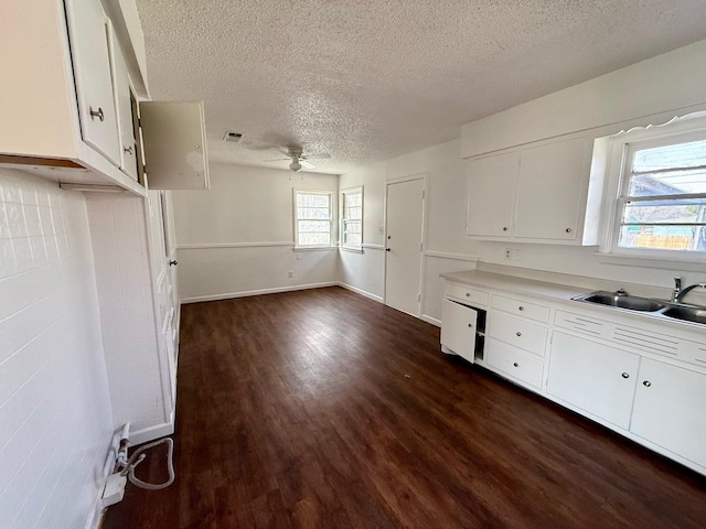 kitchen featuring dark wood-type flooring, sink, white cabinets, and ceiling fan