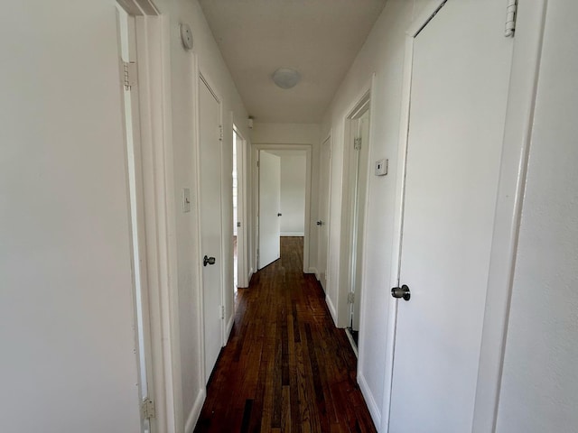 hall featuring dark wood-type flooring