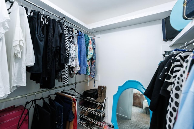 spacious closet featuring carpet