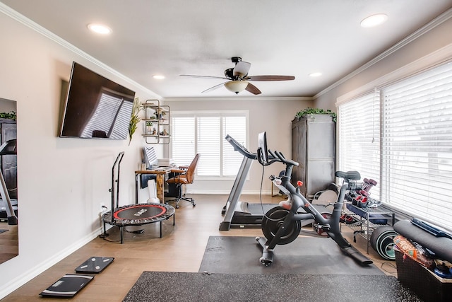 exercise room with wood-type flooring, ornamental molding, and ceiling fan