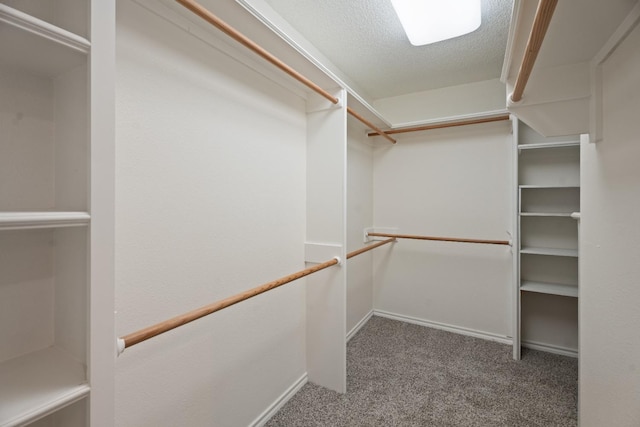 spacious closet with carpet